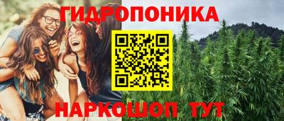 амф Гусев