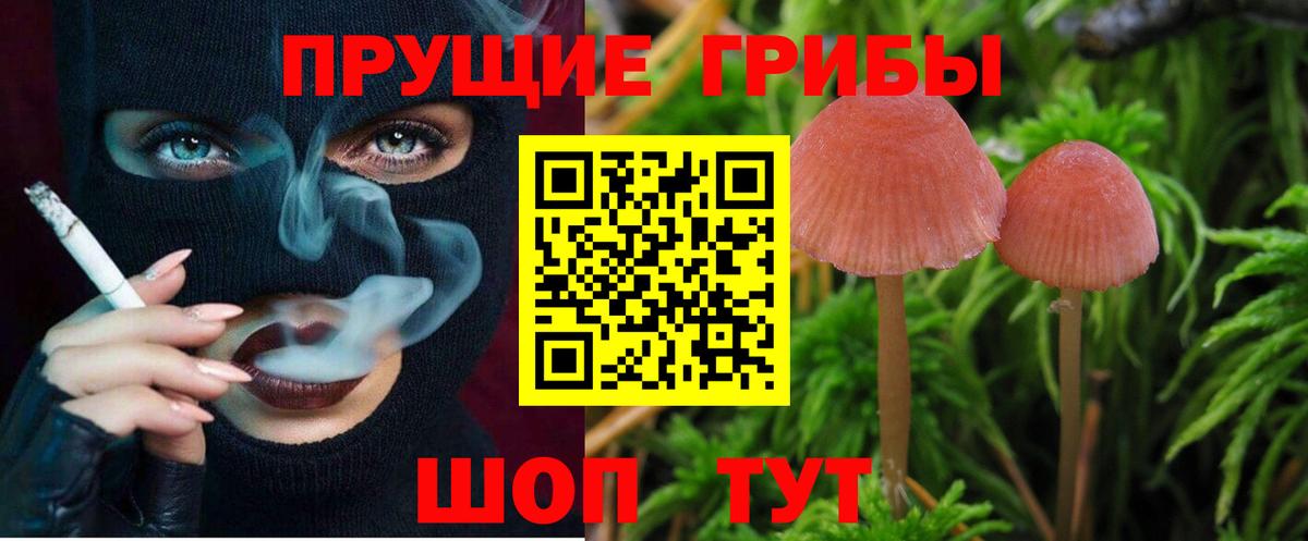 Нарткала  магазин    Вход с VPN  Галлюциногенные грибы Magic Shrooms  Галлюциногенные грибы Psilocybe 