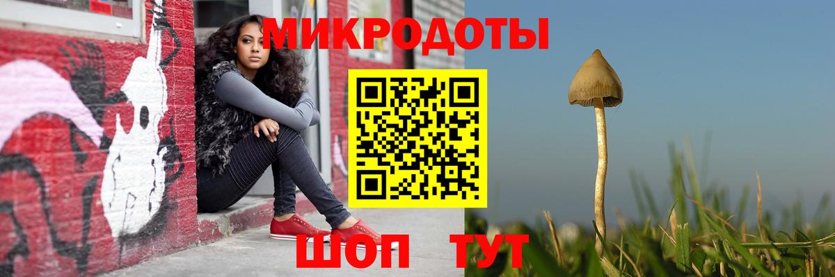 Галлюциногенные грибы Magic Shrooms Нарткала